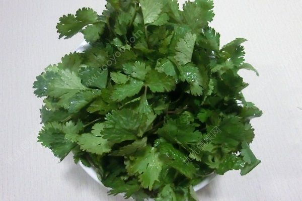 蒜香茄子的做法