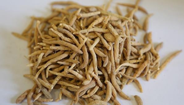麦冬和什么一起泡好 怎么吃麦冬有效