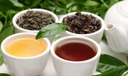 什么是乌龙茶