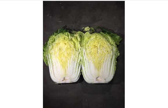 黄心白菜和大白菜的区别？白菜上的黑点点是什么？