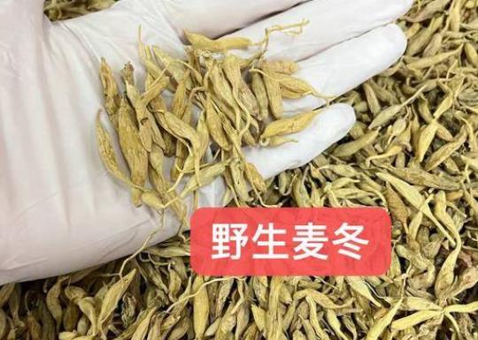 麦冬对肝脏有损害作用吗 过量代谢不及时致功能受损