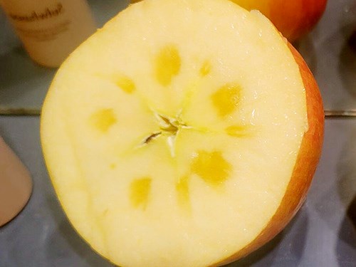 苹果的种类