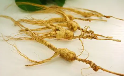 人参的功效与作用吃法