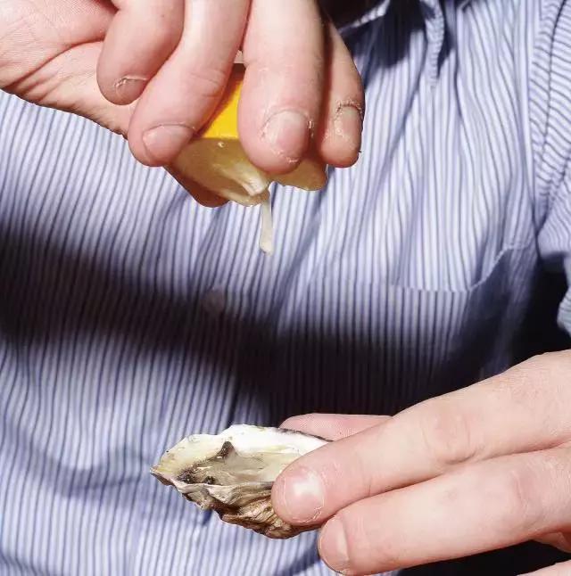 生蚝20种美味做法 史上最全的生蚝大解析