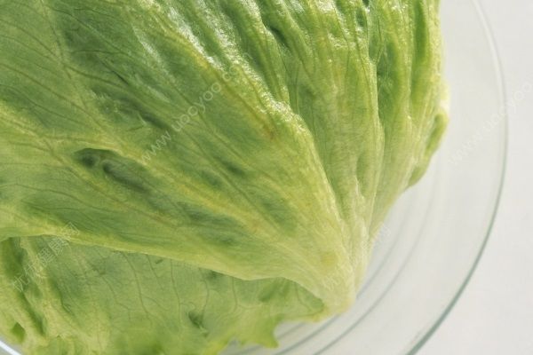 包菜炒鸡蛋