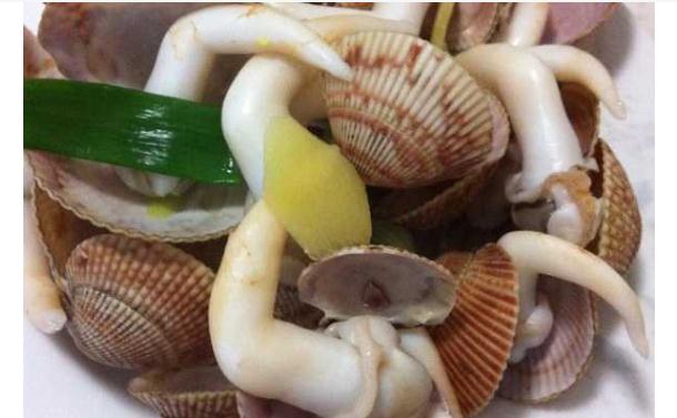 鸟贝都有哪些营养价值？食用鸟贝的禁忌有哪些？