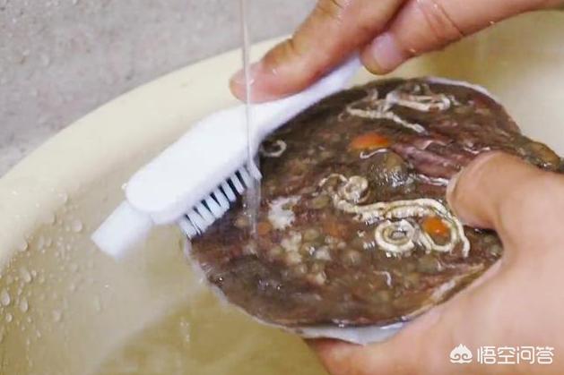 扇贝肉怎么处理干净