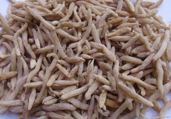 麦冬和枸杞可以一起泡水喝吗 补肾养阴润肺清心缓解烦渴多饮