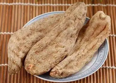 天麻的功效与作用吃法