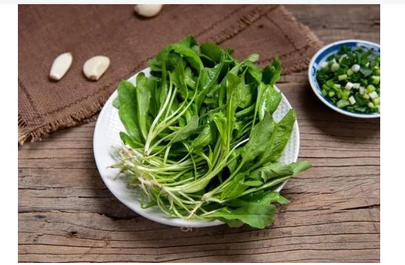 哪些青菜对眼睛好？近视眼吃什么水果好？