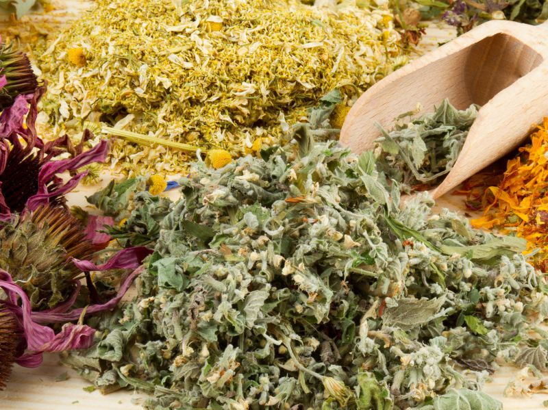 金银花的功效与作用