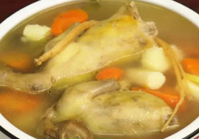 鸽子汤怎么炖好喝又营养