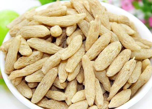 胃不好可以喝麦冬泡水吗 喝麦冬泡水有哪些禁忌