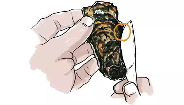 生蚝20种美味做法 史上最全的生蚝大解析