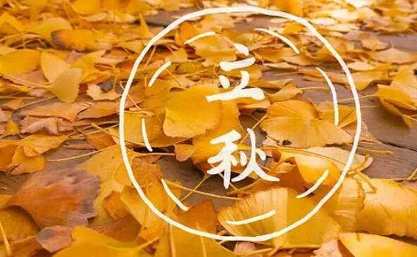 2023是公秋老虎还是母秋老虎