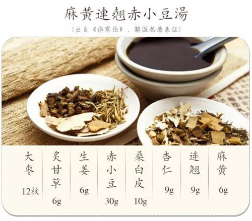 麻黄连翘赤小豆汤