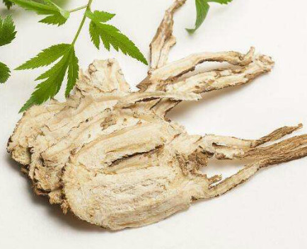 当归的功效与作用