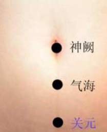 足三里的准确位置图