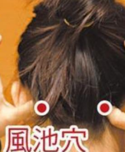 足三里的准确位置图