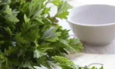 艾草的功效与用法
